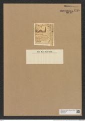 Hemiaulus mucronatus Grev. (de-Toni-Nr.: Genus 117, Species 3341) Zeichnungen Sammlung Grunow Nr. 6748 (NHMW-BOT-W0375570)